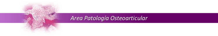 01 AREA PATOLOGIA OSTEOARTICULAR
