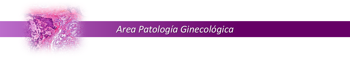 04 AREA PATOLOGIA GINECOLOGICA