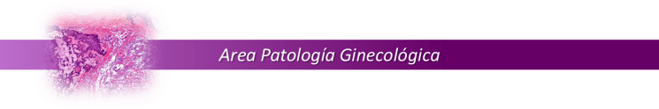 04 AREA PATOLOGIA GINECOLOGICA