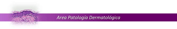07 AREA PATOLOGIA DERMATOLOGICA