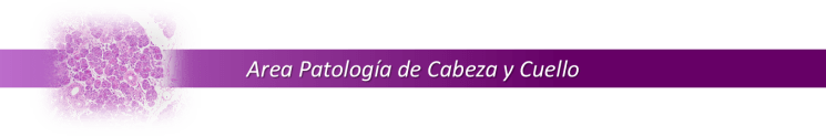08 AREA PATOLOGIA DE CABEZA Y CUELLO