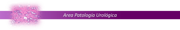 09 AREA PATOLOGIA UROLOGICA