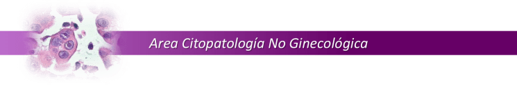 10 AREA CITOPATOLOGIA NO GINECOLOGICA