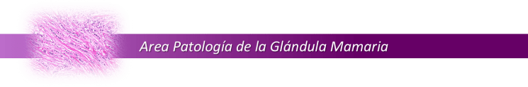 11 AREA DE PATOLOGIA DE LA GLANDULA MAMARIA