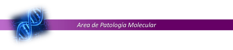17 AREA DE PATOLOGIA MOLECULAR