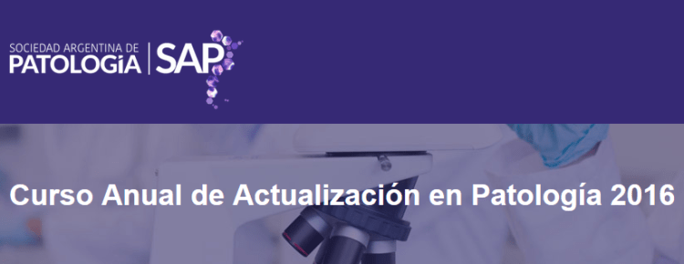 Sap Actualización 2016 2