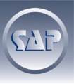 sap 2013