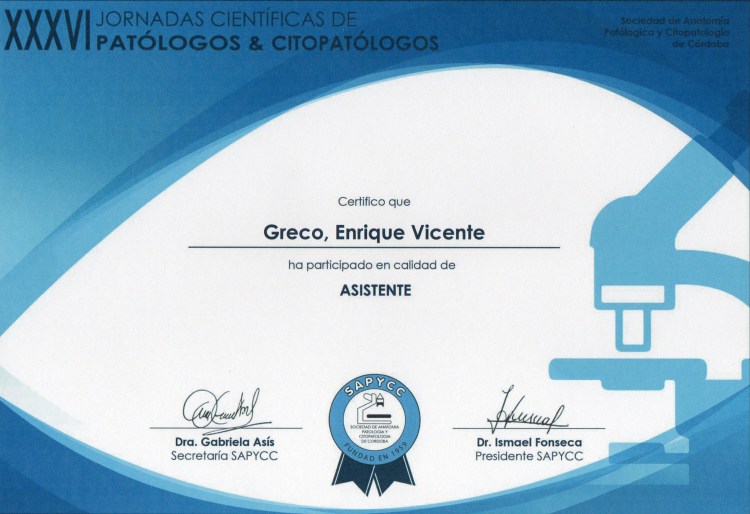 2016-sapycc-participacion