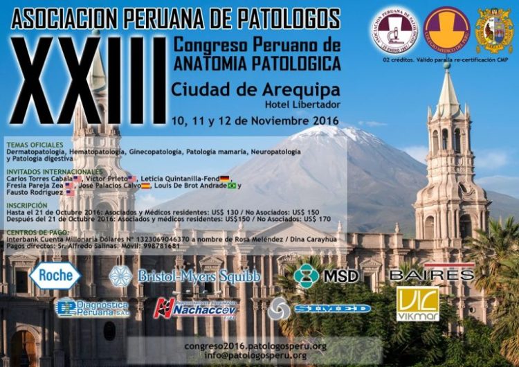 aficheclaro-copia-3-768x543